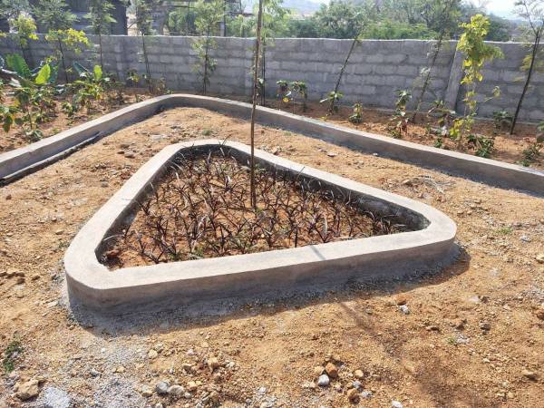  sez-county Elevation