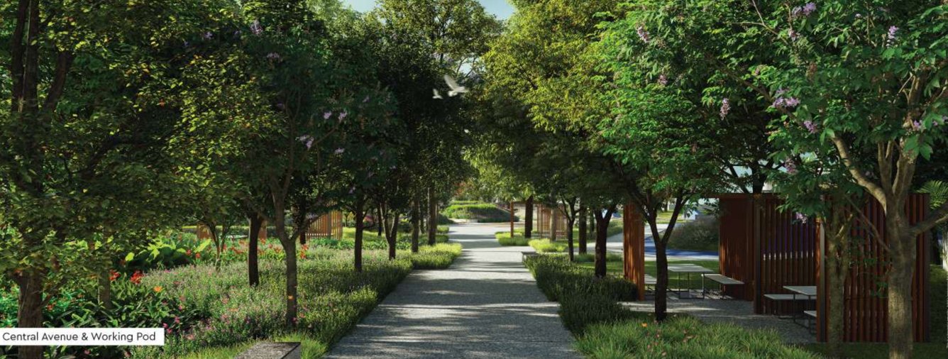  the greenfront at godrej park world Internal Roads & Footpaths