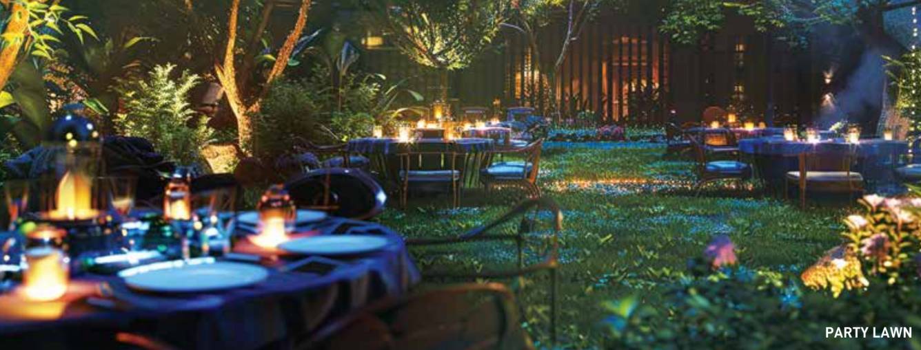  ruparel zinnia Party Lawn