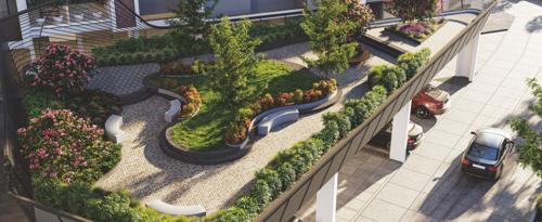  sierra Landscape Garden and Tree Planting