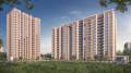 A R Realty AR Mirador