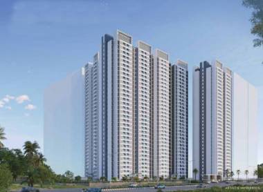 Elevation urban-woods-palm Elevation