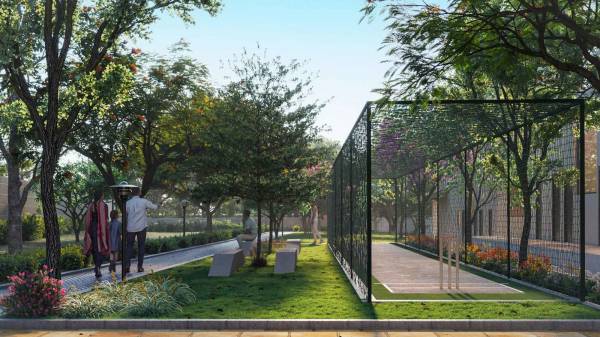 Cricket Pitch evana Cricket Pitch