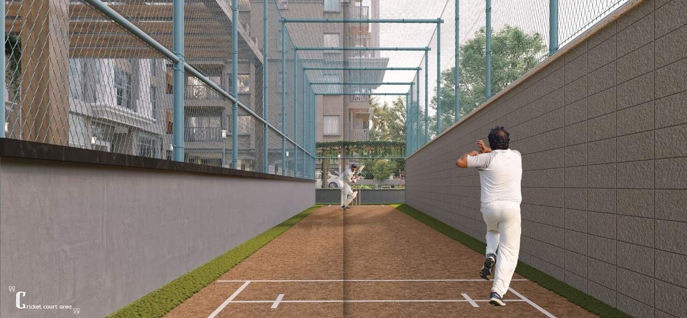  syndicate grandeur Cricket Pitch