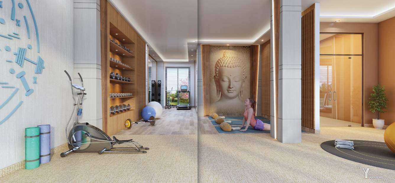  syndicate grandeur Gymnasium