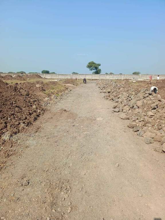  dhan destination Plot