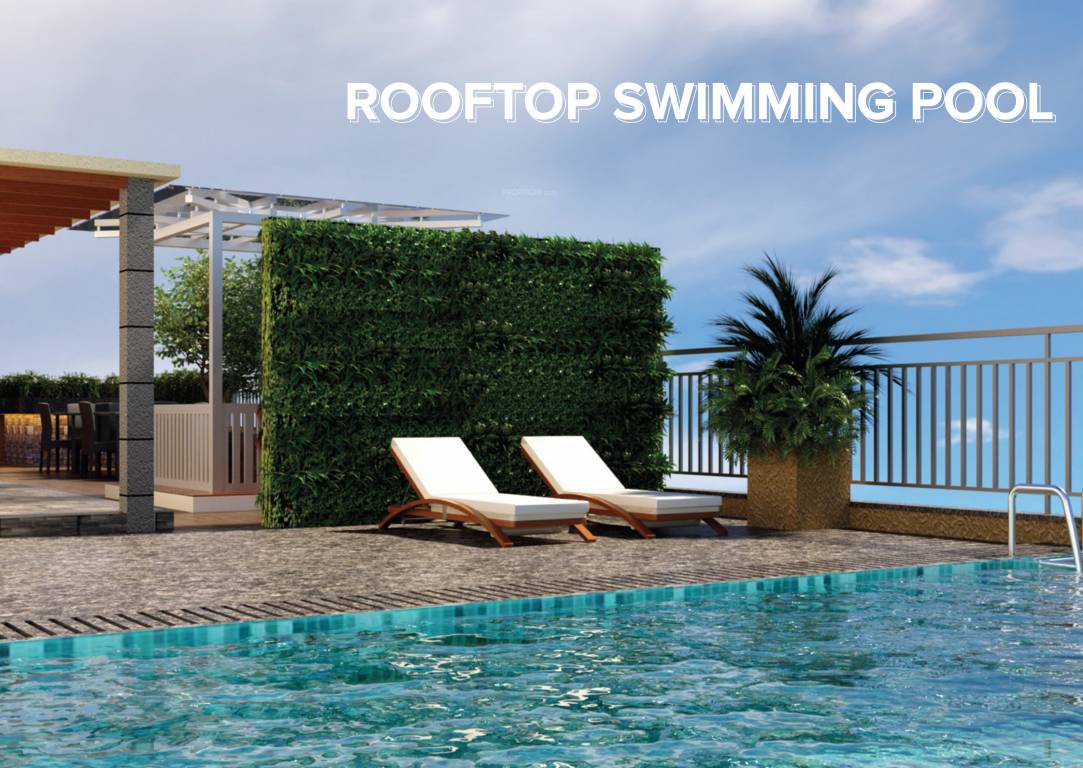  the one Swimming Pool