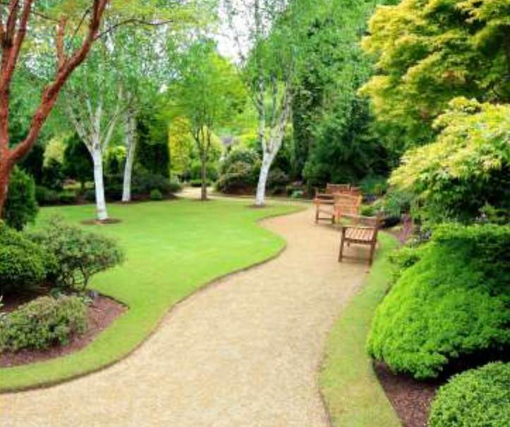  sunshine homes Others