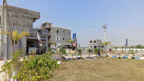  star-cuty-phase-2 Elevation