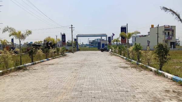  star-cuty-phase-2 Elevation