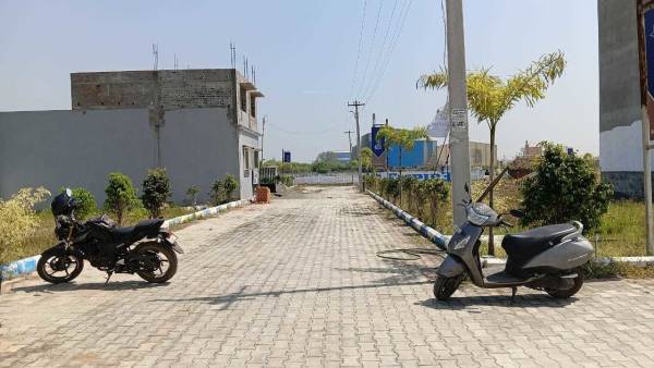  star-cuty-phase-2 Others