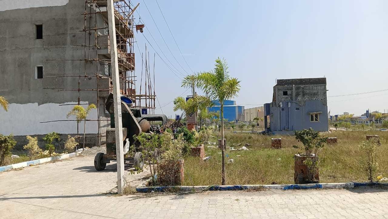  star cuty phase 2 Others