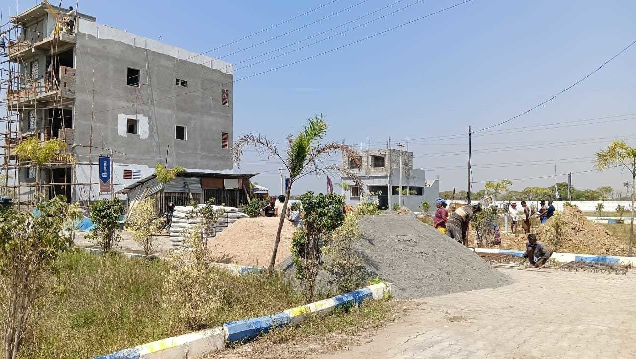  star cuty phase 2 Others