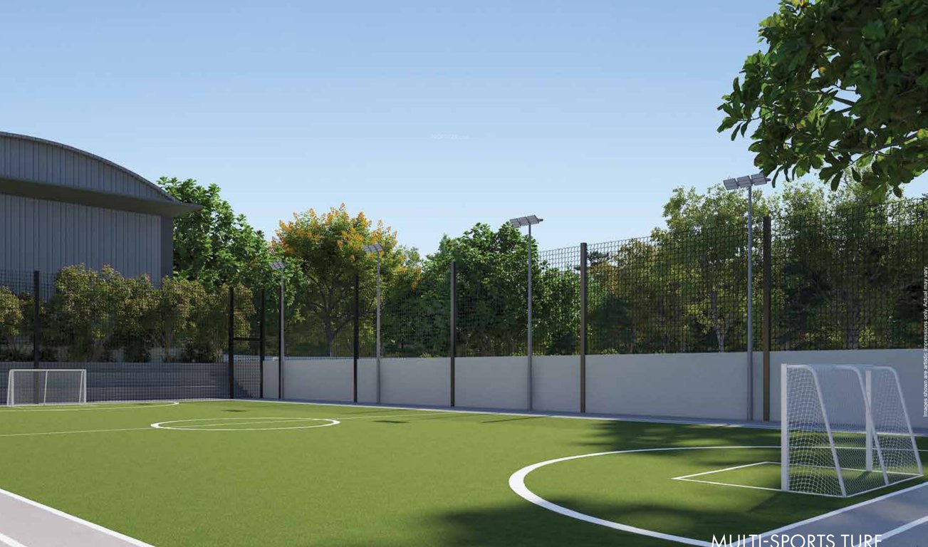  sanctuary Football Field