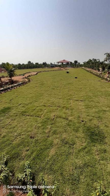  doctors colony Elevation