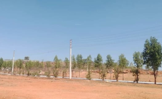 Elevation the-golden-gate Elevation