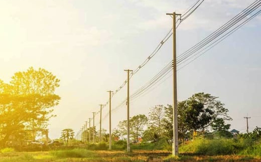  the-golden-gate Others