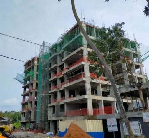  hazel Hazel Construction Status Dec 24