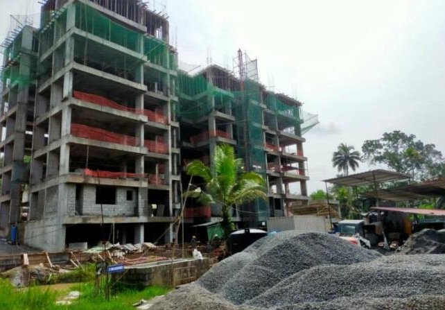  hazel Hazel Construction Status Dec 24