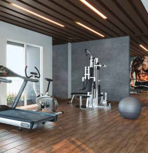 Gymnasium city-light Gymnasium