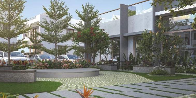  urban oasis Landscape Garden and Tree Planting