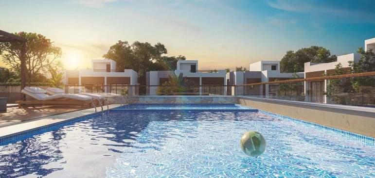  urban oasis Swimming Pool