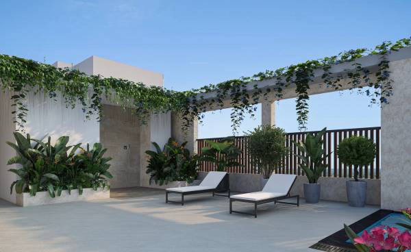 Sun Deck vistara Sun Deck