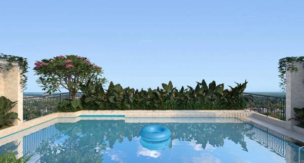 Swimming Pool vistara Swimming Pool