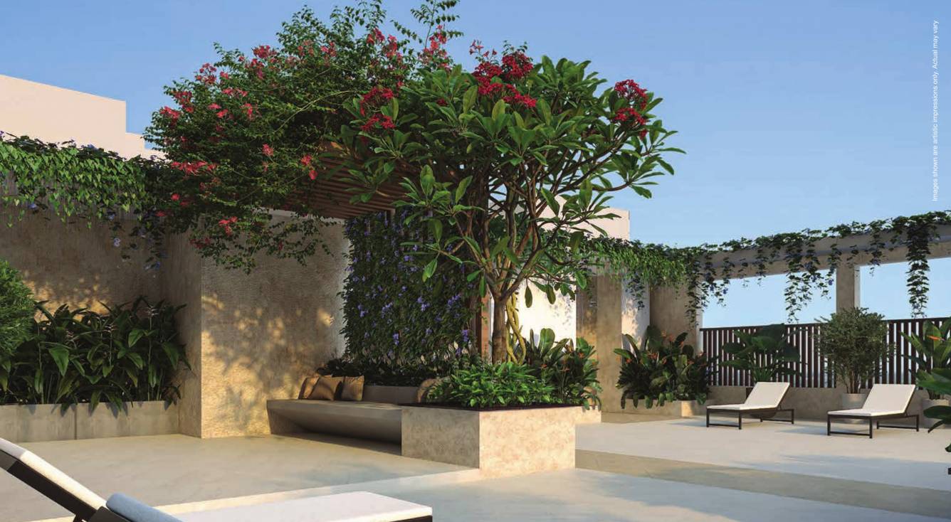  vistara Terrace Garden