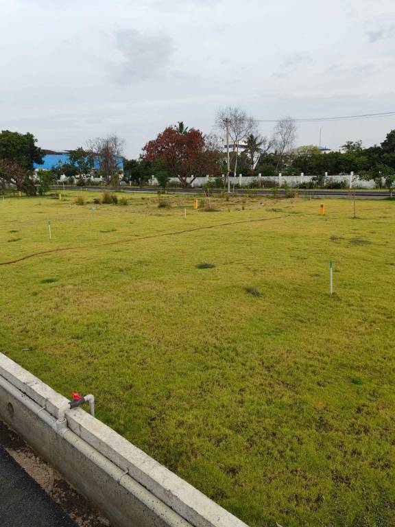  the royal plots Plot