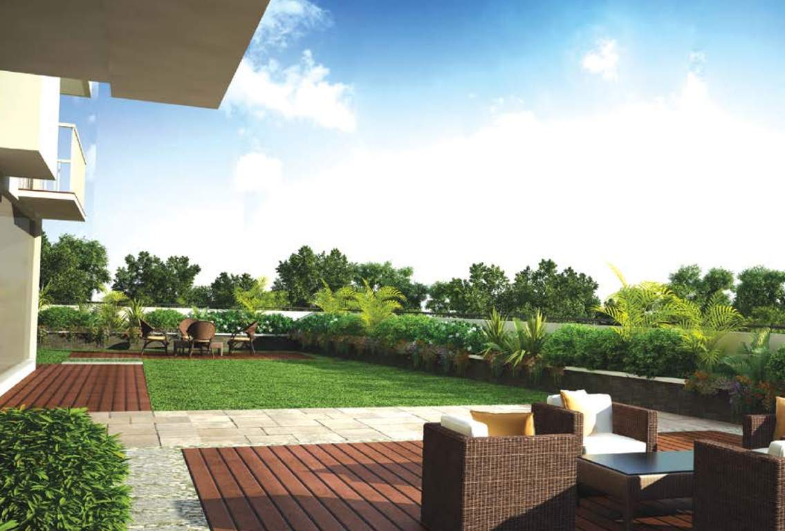  pearl Landscape Garden and Tree Planting