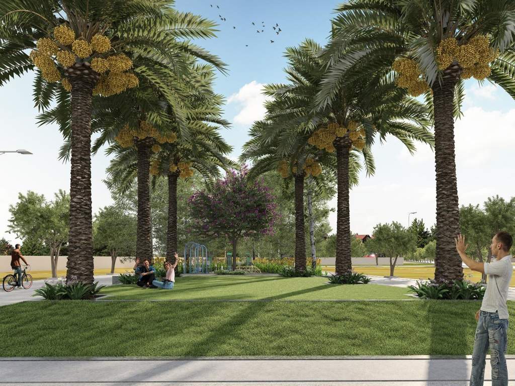  harshit gold city Landscape Garden and Tree Planting
