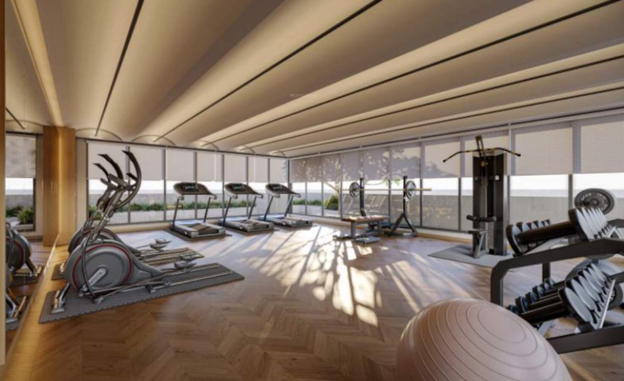  zankar sanidhya Gymnasium