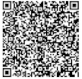 QR Image