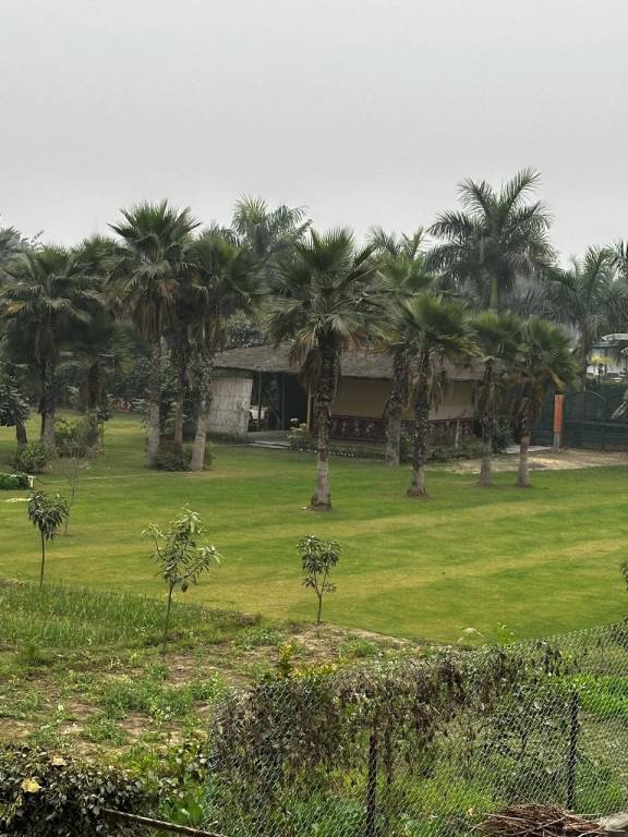  green beauty farm house Plot