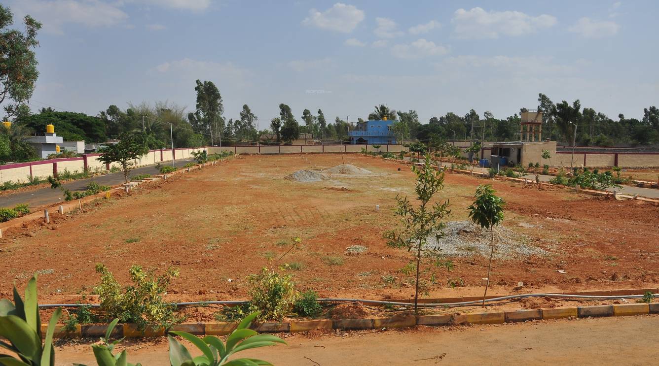  shalvi garden Plot