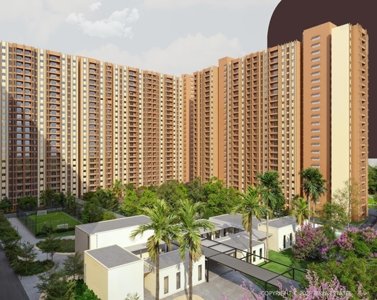  evara Elevation