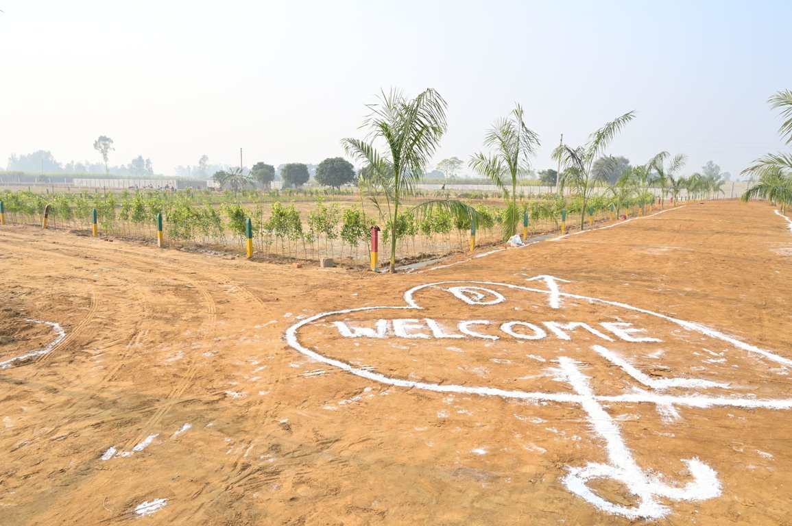 ganga valley Plot