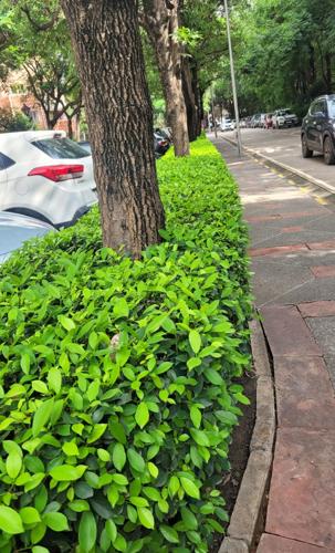 Others the-park-street Others