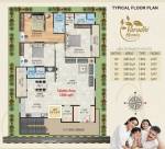 Homes Cluster Plan  homes Homes Cluster Plan
