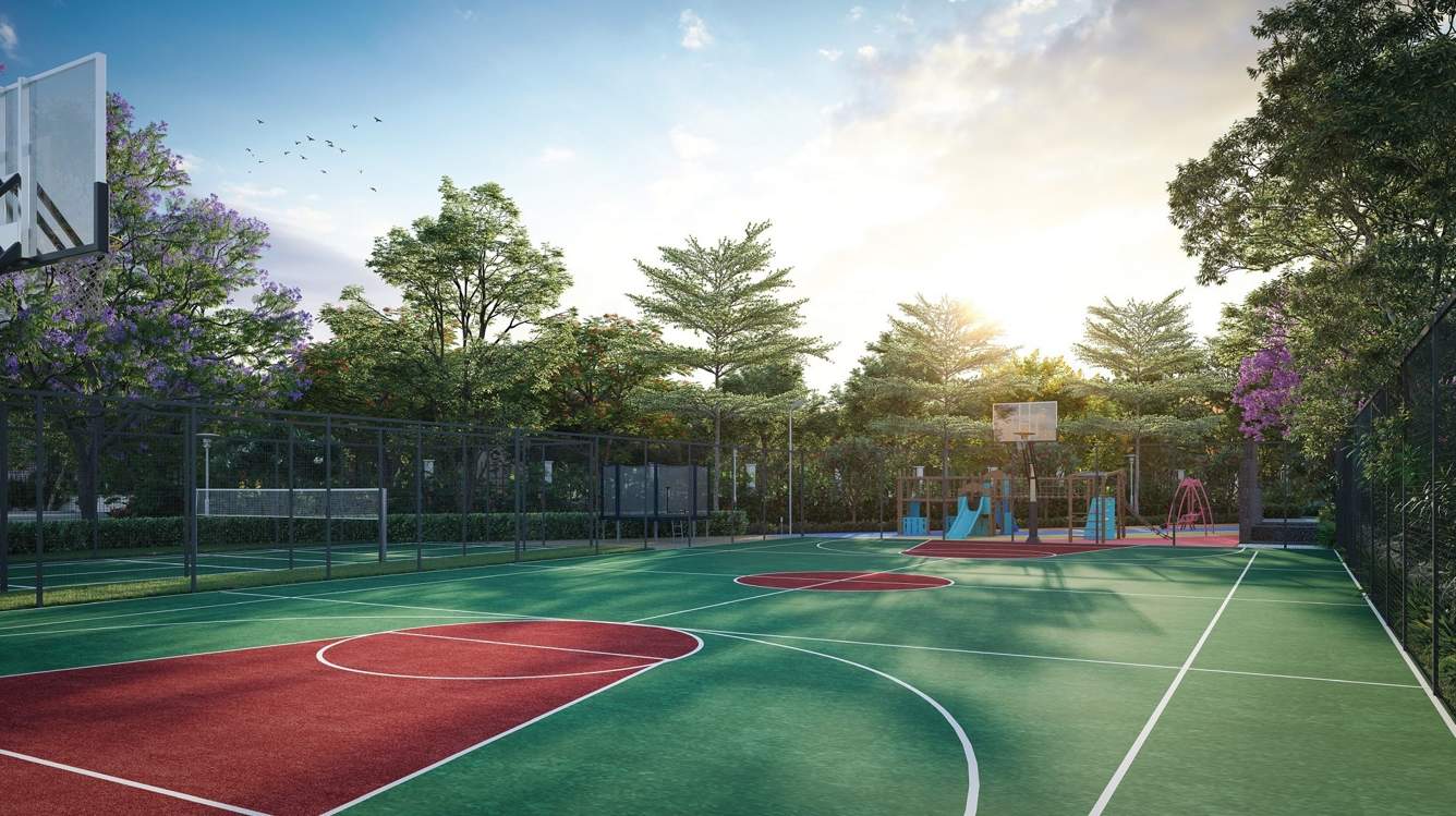  urban ascent Basketball Court