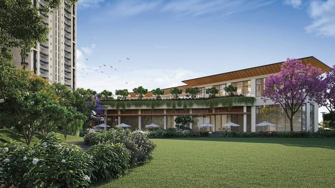  urban ascent Landscape Garden and Tree Planting