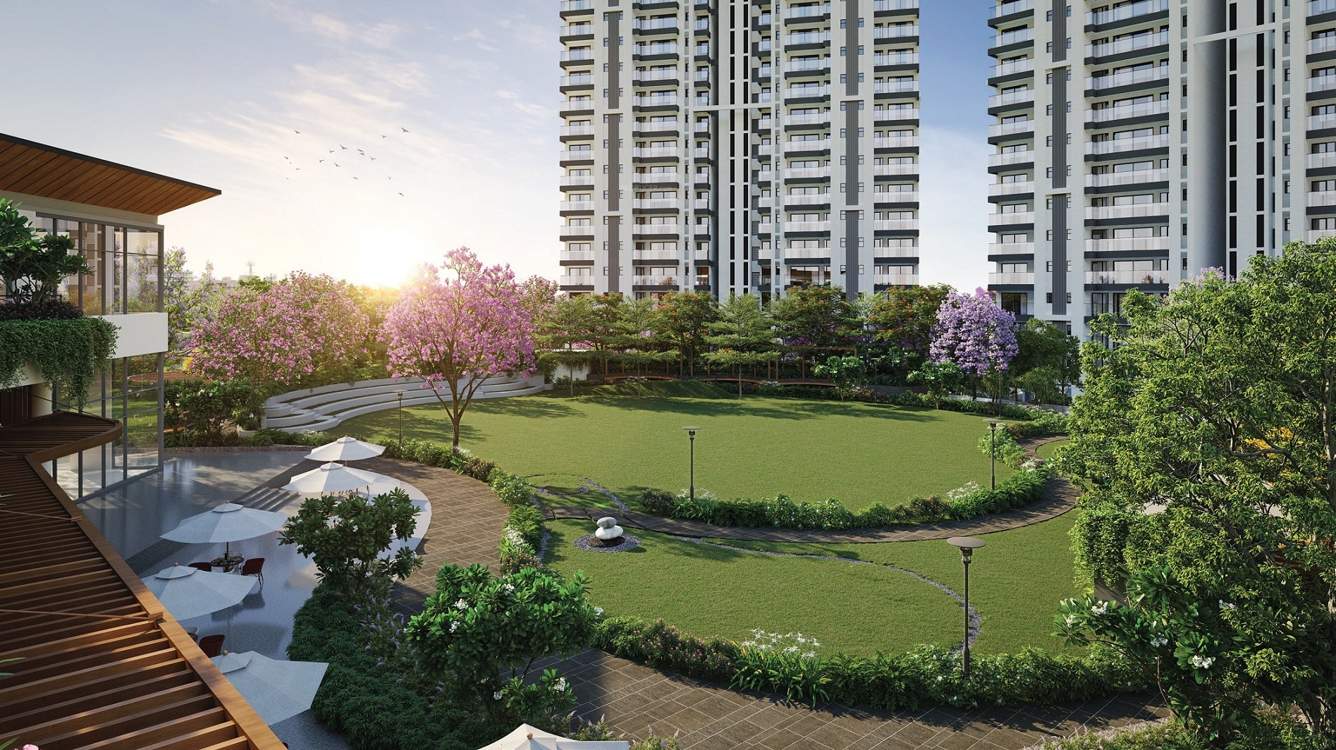  urban ascent Landscape Garden and Tree Planting