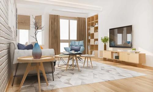  hosa-road Living Area