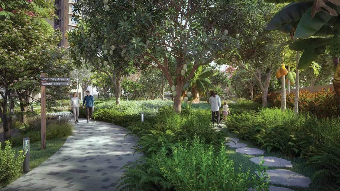  vista phase 2 Landscape Garden and Tree Planting