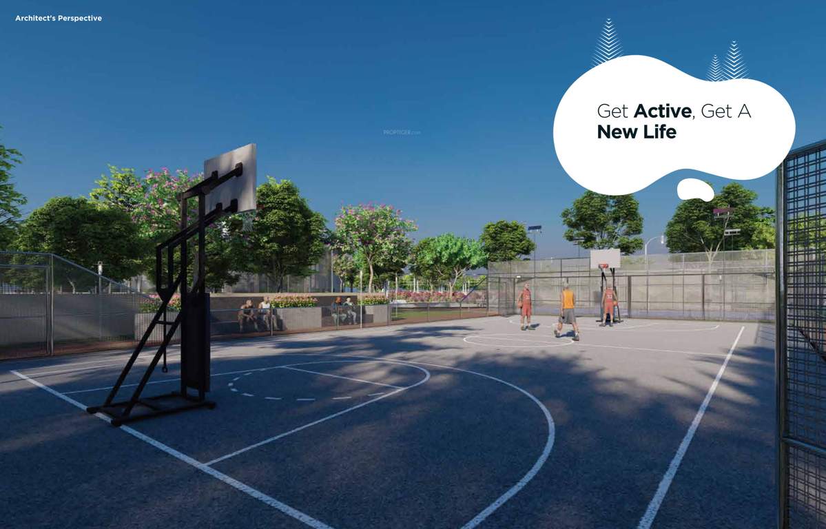 lake shore oasis Basketball Court