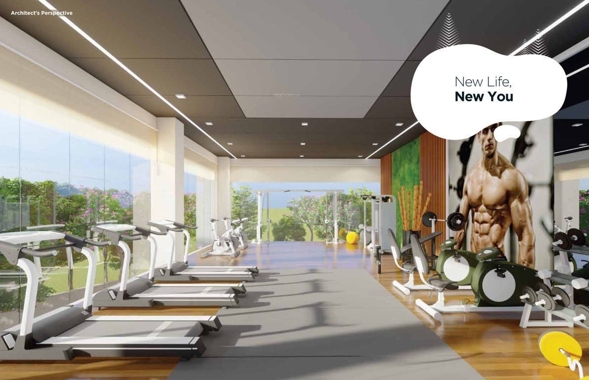  lake shore oasis Gymnasium