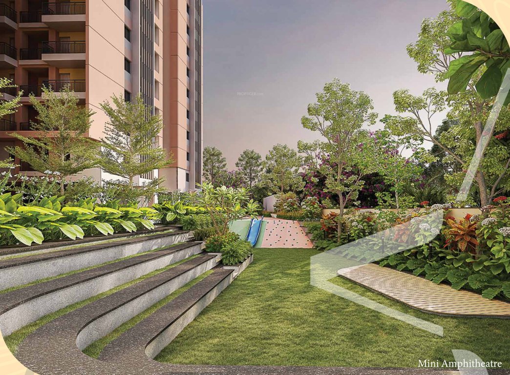  revasa aura Amphitheater