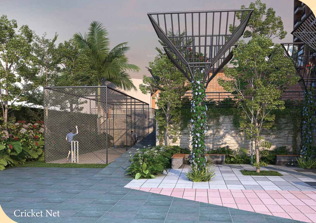  revasa aura Cricket Pitch