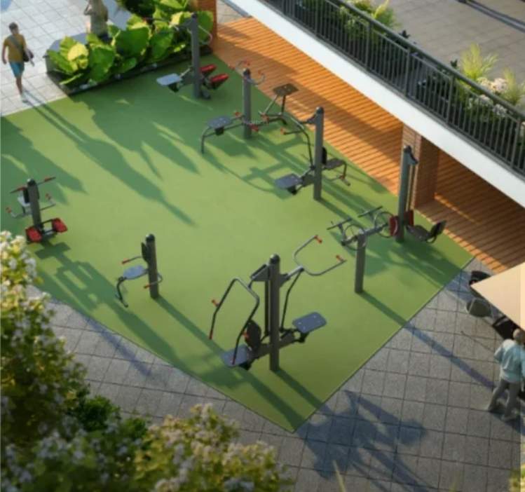  revasa aura Gymnasium